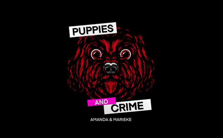  PUPPIES AND CRIME – Die Livetour 2024