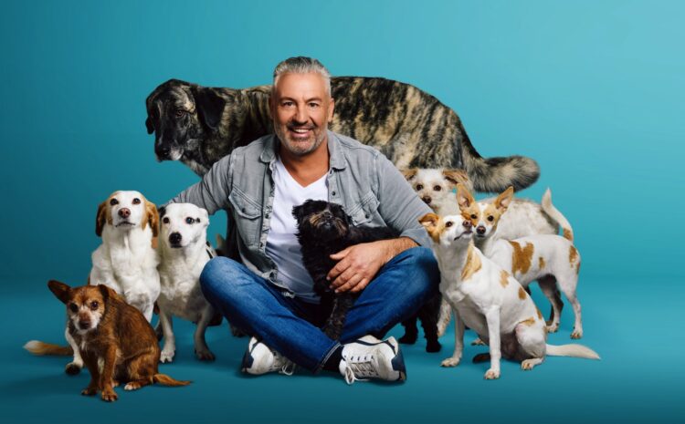  ANDREAS OHLIGSCHLÄGER – HUNDHERUM ZUFRIEDEN ?